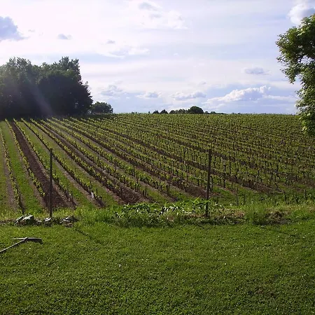 L'appartement Pres De Saint Emilion 公寓 皮斯甘